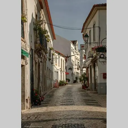 Terra Da Eira T1 - Sun, Sea And Relax * Lourinhã